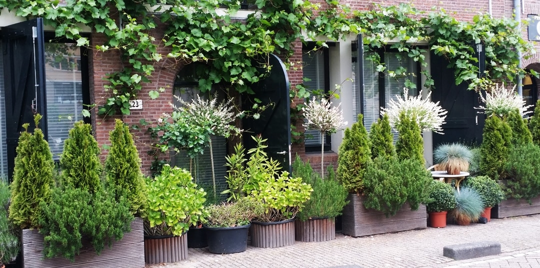 Gro-Max® Premium Garden Soil